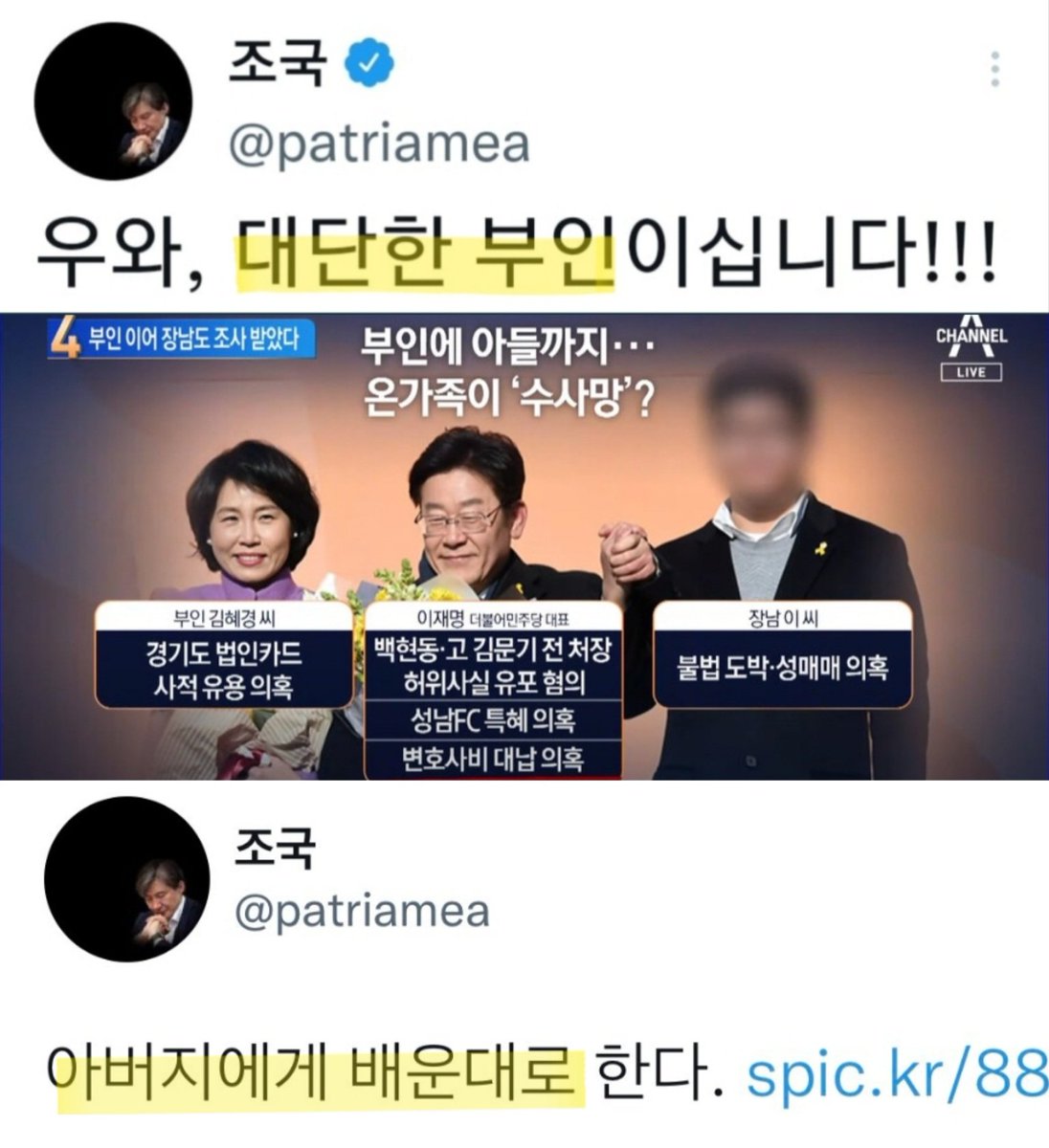 bulgomida's tweet photo. 온 가족이 수사망
대단한 집이야 정말😑 
와중에 조만대장경은 어디 붙여도 딱😎 https://t.co/ZVQCLqjltp