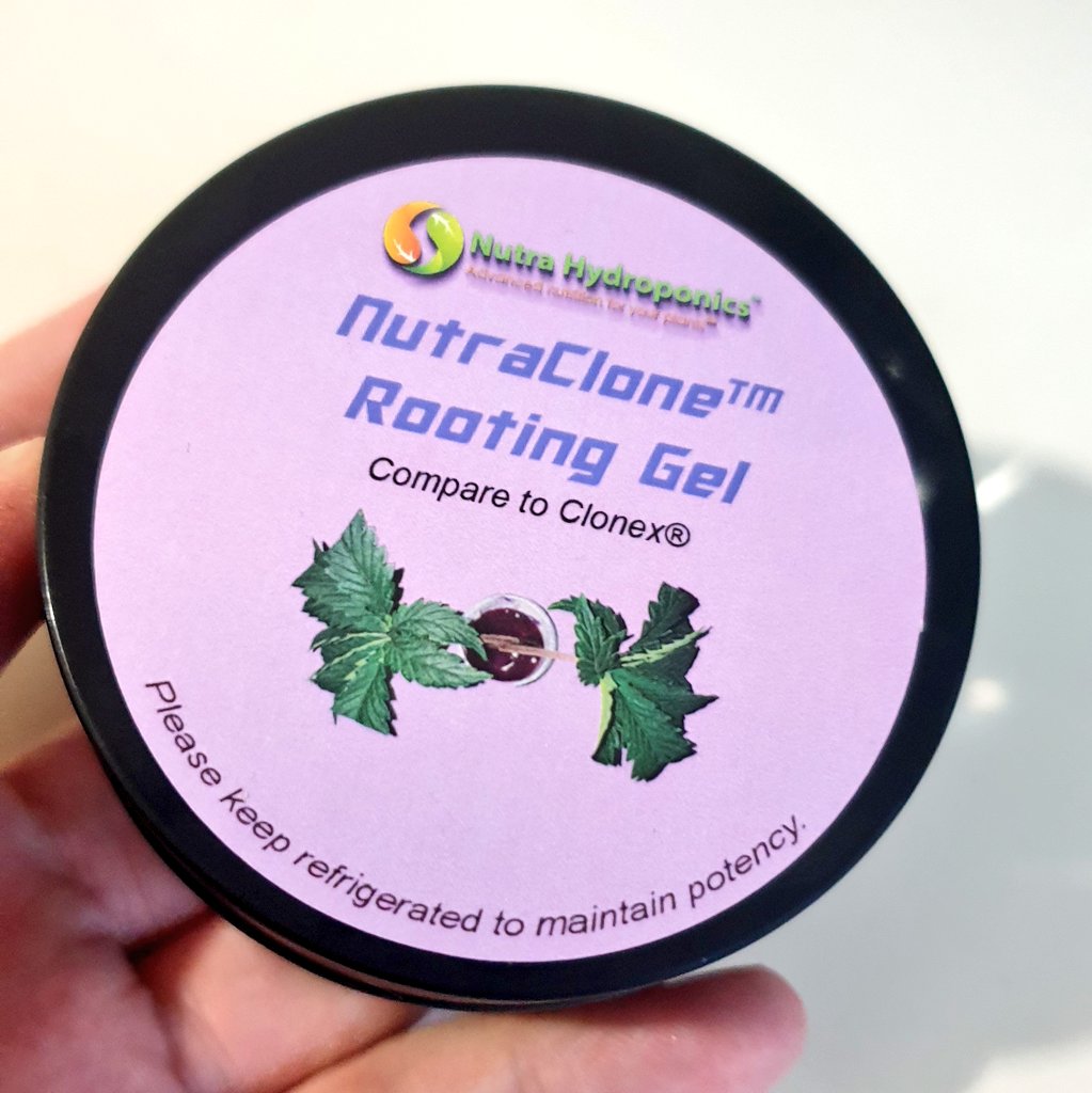 Mr. Thailand Grow tweet media