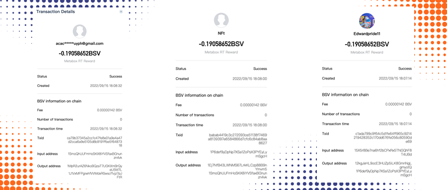 DotWallet tweet media