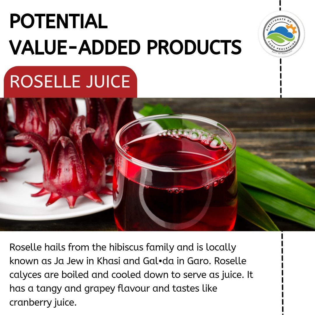 DofpMeghalaya's tweet image. Mostly cultivated in the backyards of the people of Meghalaya, Roselle is often used in cooking traditional dishes. 
Packed with many health benefits, the tangy flavour of Roselle juice is best for relief and quenching thirst during hot weather.

#potentialproducts
#valueaddition