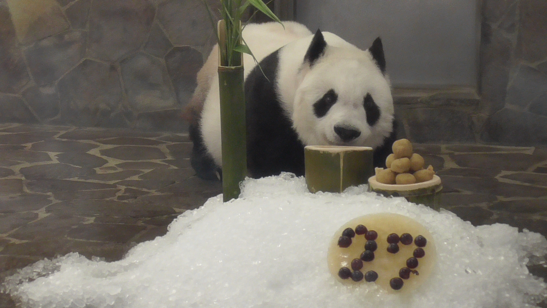 神戸市立王子動物園（公式） على X: 