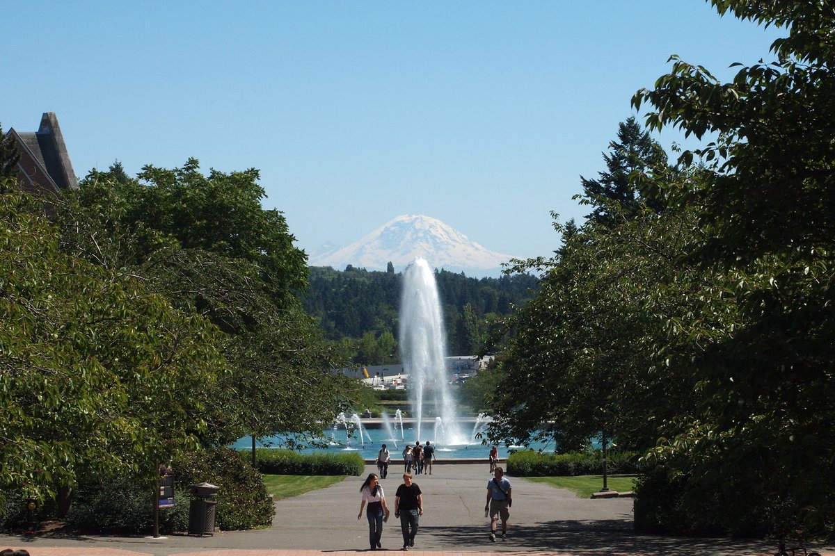 ADSteinbrenner's tweet photo. Job alert!! 🍃🚨🌱

We are searching for an Assistant Professor of Plant Systematics at UW Seattle @UWBiology and Curator of the Herbarium @burkemuseum 

Application review begins on October 1
https://t.co/ZFVTHkQuXd https://t.co/8xSyiCDrNN