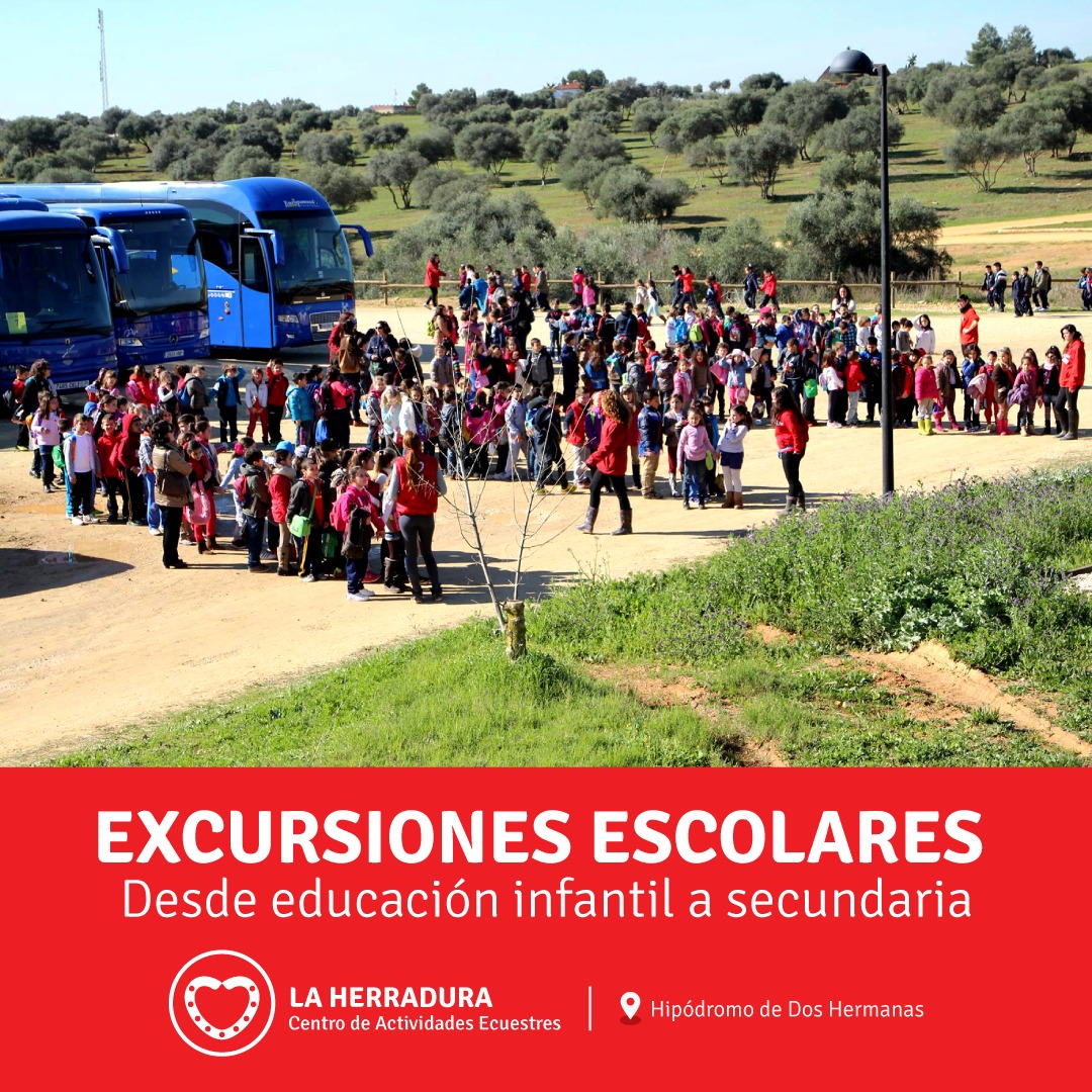 infoherradura's tweet image. 🎒 🐴 ¡Este curso ven de #ExcursiónEscolar a @infoherradura! 

🌿 Una experiencia en el entorno natural con caballos y ponis dirigida por profesionales. 

👧👦 Desde Educación Infantil a Secundaria. 

 ℹ Más info:

📧 info@terapiaslaherradura.com 
📞 955 052 737
📲 697 821 020