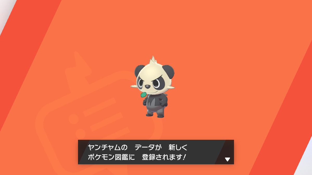 ショオ tweet media