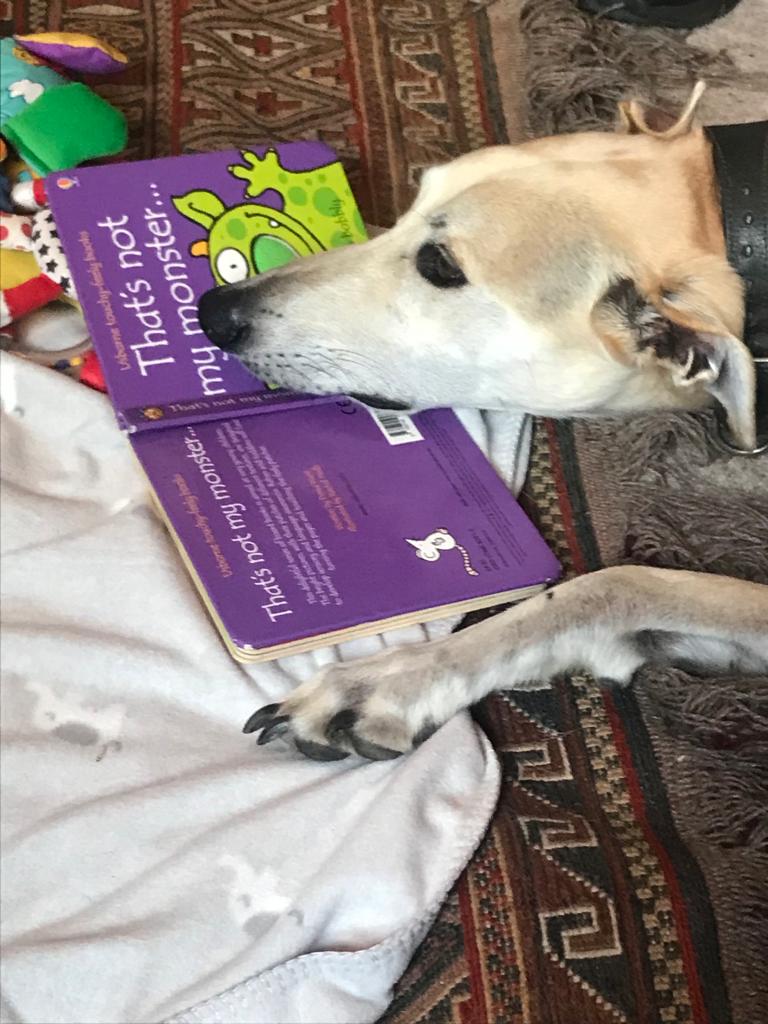 thevicarswife's tweet photo. The Vicarage Hound has joined us and has been reading the baby's book. #CakeandChat https://t.co/mhtx7vmWsI