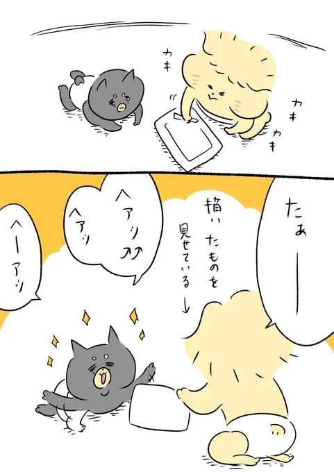 兄弟でごく稀に遊びます 