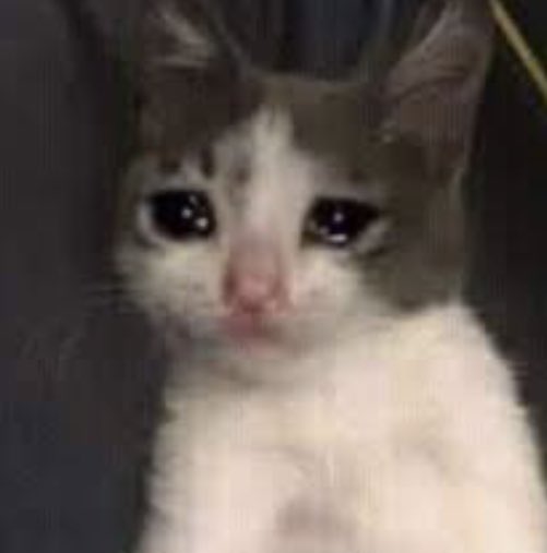 sofiabrooding4's tweet photo. When you realize TikTok down for iPhone #tiktokdown https://t.co/ObeEcQV1gu