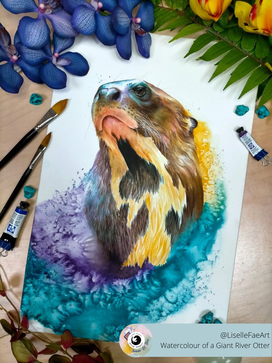 Otter_Project's tweet photo. Our final feature for the #SummerArtShow is this fabulous watercolour of a giant river otter by @lisellefaeart. 
Thank you to everyone who submitted their wonderful otter themed artwork! 
#art #otter #watercolour https://t.co/EpFFxr5gna