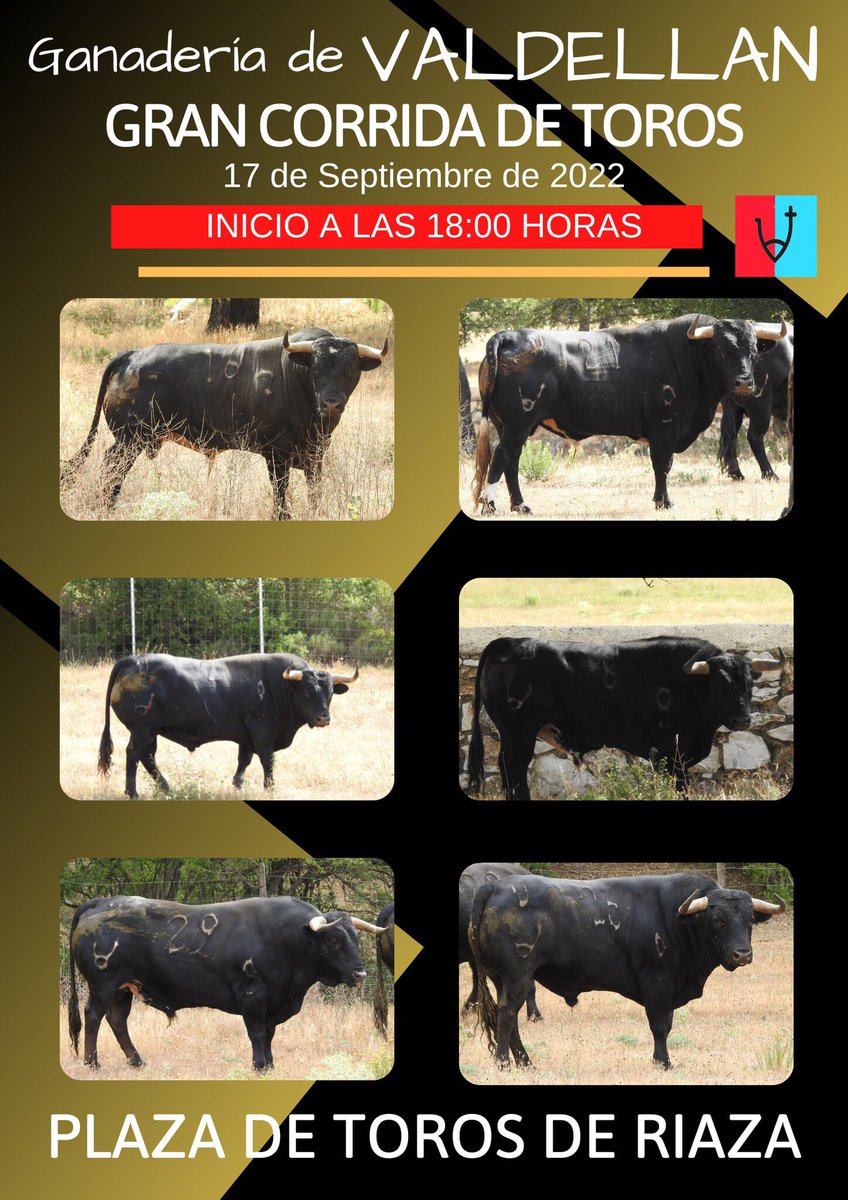 Anunciamos que la 𝗰𝗼𝗿𝗿𝗶𝗱𝗮 𝗱𝗲 𝘁𝗼𝗿𝗼𝘀 𝗱𝗲 𝗹𝗮 𝗴𝗮𝗻𝗮𝗱𝗲𝗿𝗶́𝗮 𝗱𝗲 𝗩𝗮𝗹𝗱𝗲𝗹𝗹𝗮́𝗻, 𝗽𝗿𝗲𝘃𝗶𝘀𝘁𝗮 𝗽𝗮𝗿𝗮 𝗲𝗹 𝘀𝗮́𝗯𝗮𝗱𝗼 𝟭𝟳 𝗱𝗲 𝘀𝗲𝗽𝘁𝗶𝗲𝗺𝗯𝗿𝗲 𝗗𝗔𝗥𝗔́ 𝗖𝗢𝗠𝗜𝗘𝗡𝗭𝗢 𝗔 𝗟𝗔𝗦 𝟭𝟴:𝟬𝟬 𝗛𝗢𝗥𝗔𝗦.
#Riaza #Valdellan #PlazaDeTorosDeRiaza
