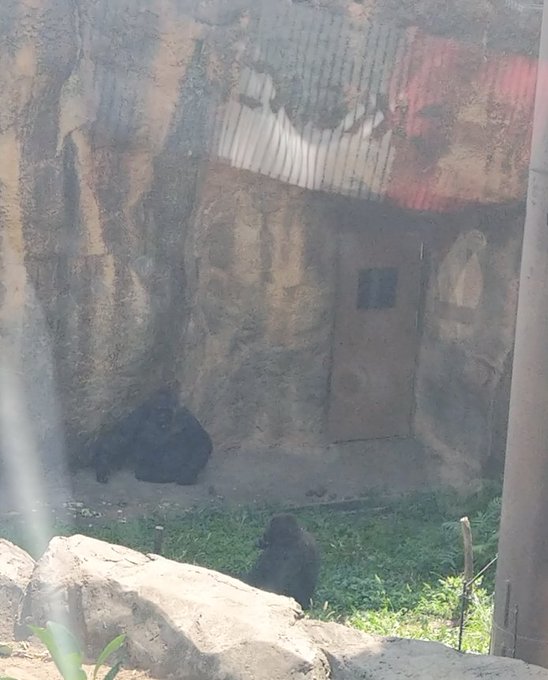 Twitterのコスプレ画像37