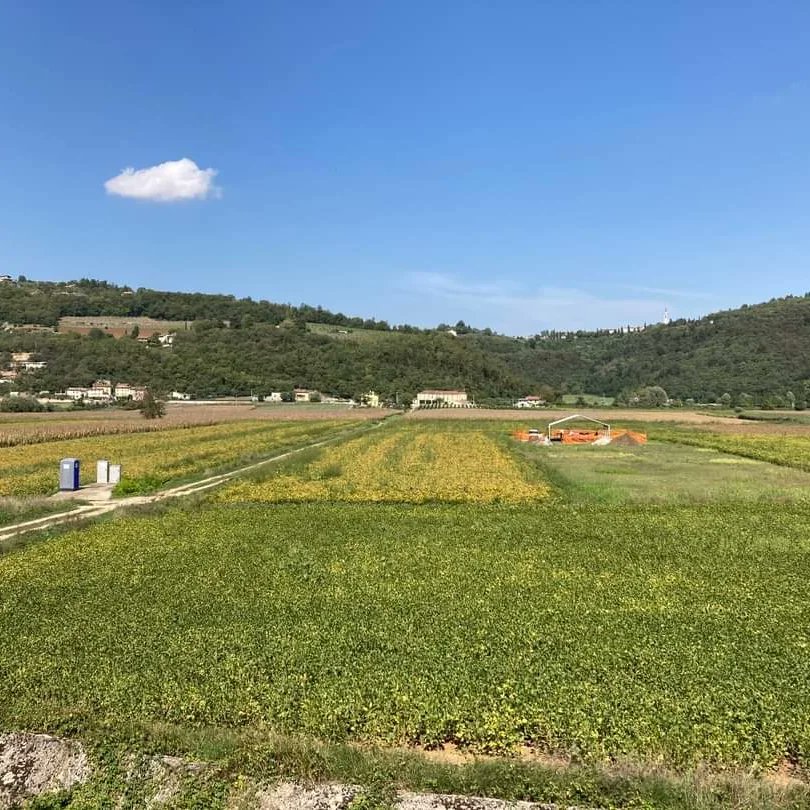 NEWS! We finally begun digging the Square Mouthed Pottery (mid Neolithic) site of Molino Casarotto (Arcugnano-Vicenza). The excavation is funded and performed within the framework of the ERC GEODAP project. Follow us for updates
<a href="/ERC_Research/">European Research Council (ERC)</a> <a href="/GeoUnipd/">Dipartimento di Geoscienze - Unipd</a> @ServizioRicerc <a href="/UniPadova/">Università di Padova</a>