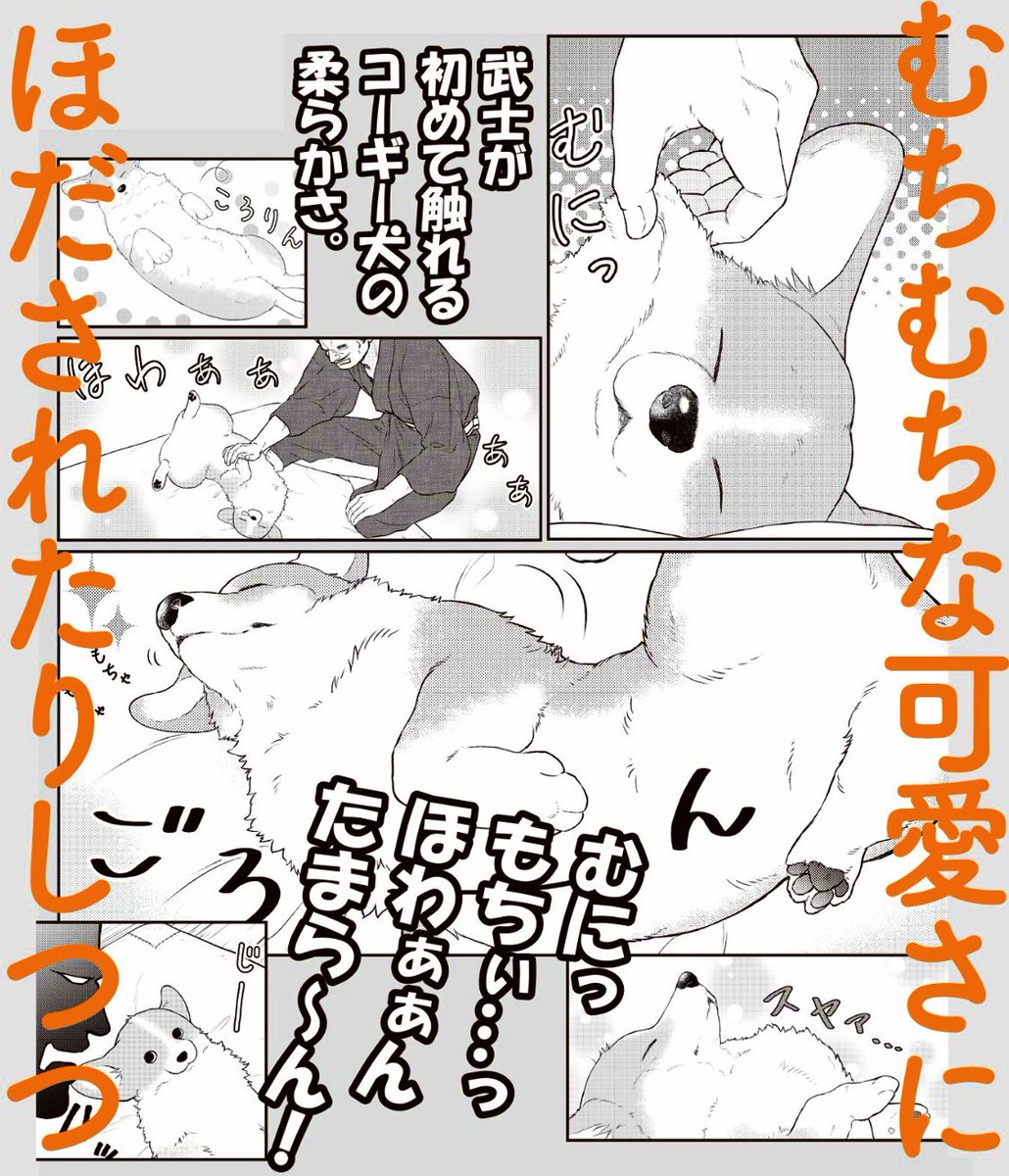 本日発売🎉 『#殿と犬(とのといぬ)』①    こんなお話だよ👇