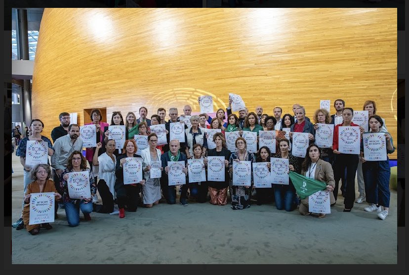 joinallofus's tweet photo. European Members of Parliament have had it with Orbàn’s attack on women’s freedoms! https://t.co/laAFEa4xOj