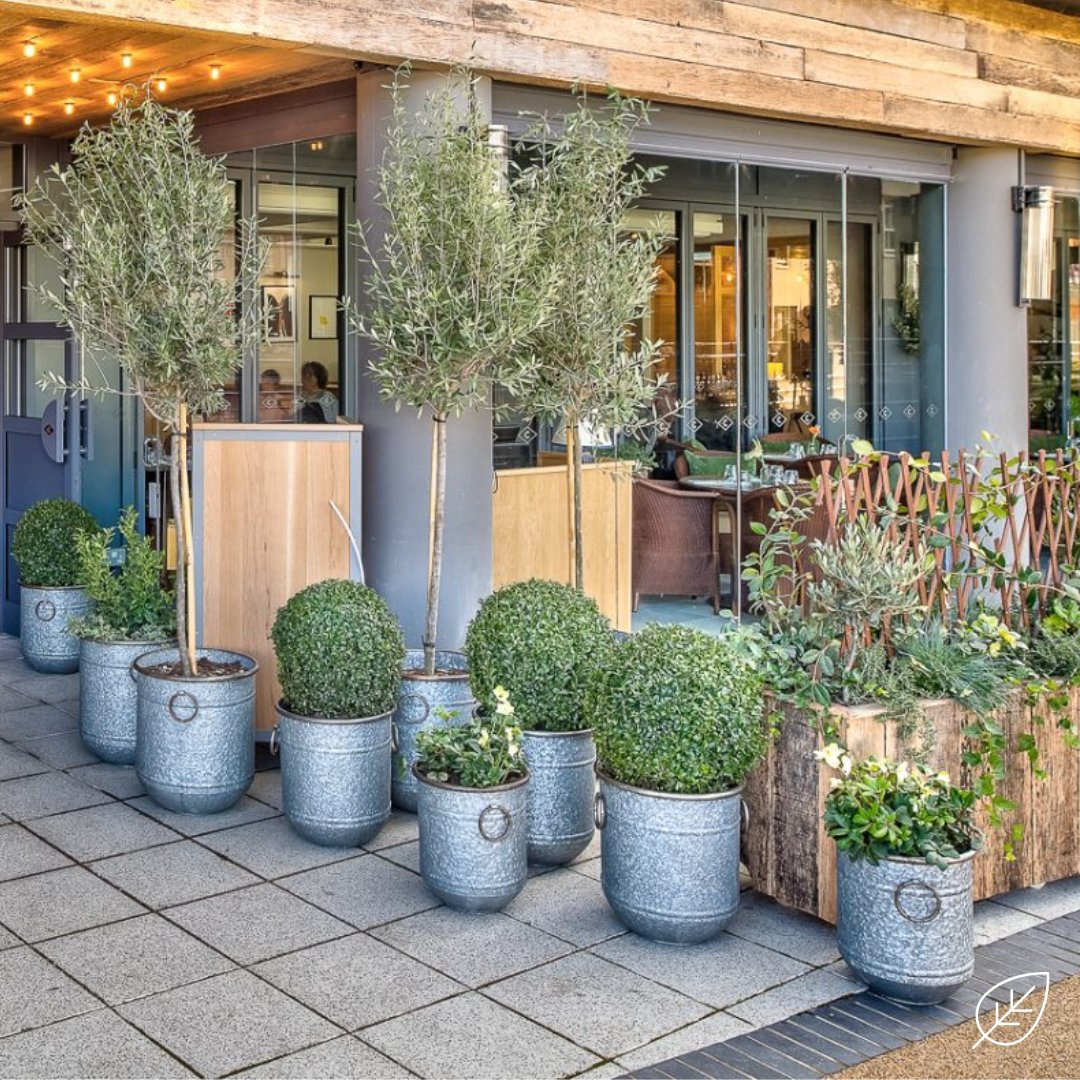 Worried about all that upkeep and maintenance? With our rental contracts we look after all your planting needs 🟩🌿🌴

#Officedesign #Officeplanting #Interiordesign #Biophilia #Plantingdesign