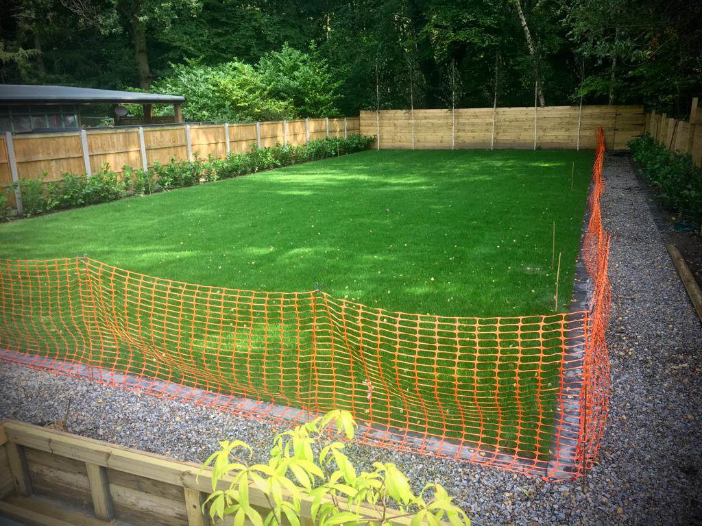 Landguardltd's tweet photo. Beautiful newly laid #lawn full of easy digging soil and delicious worms and bugs!?
Yes!?
Well, get ready for some #Moles 
With competitive prices and a long standing reputation as the best #Molecatcher  in Wharfedale and surrounding areas please don’t hesitate to call today! https://t.co/N80lsHROHc