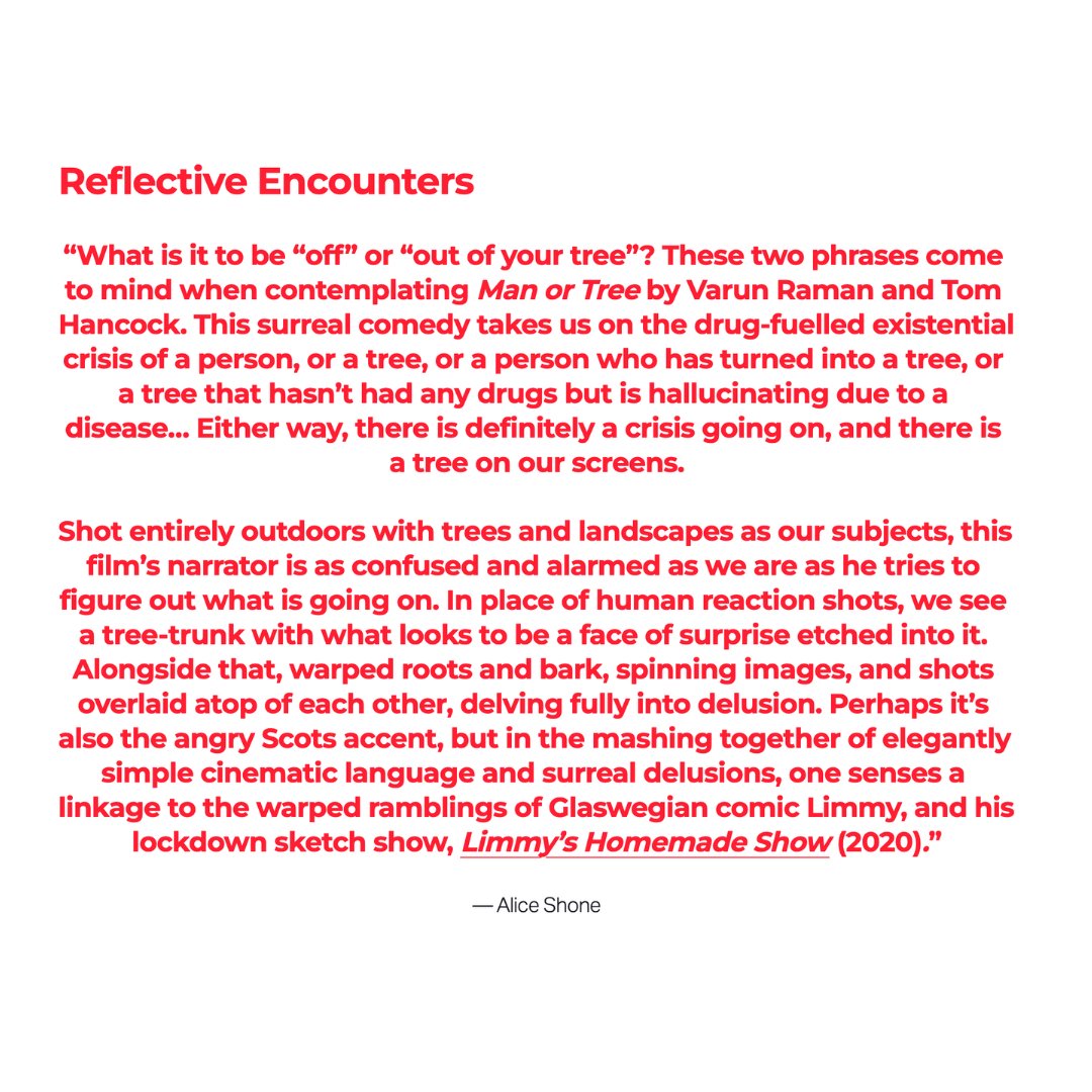 PARALLEL MADNESS tweet media