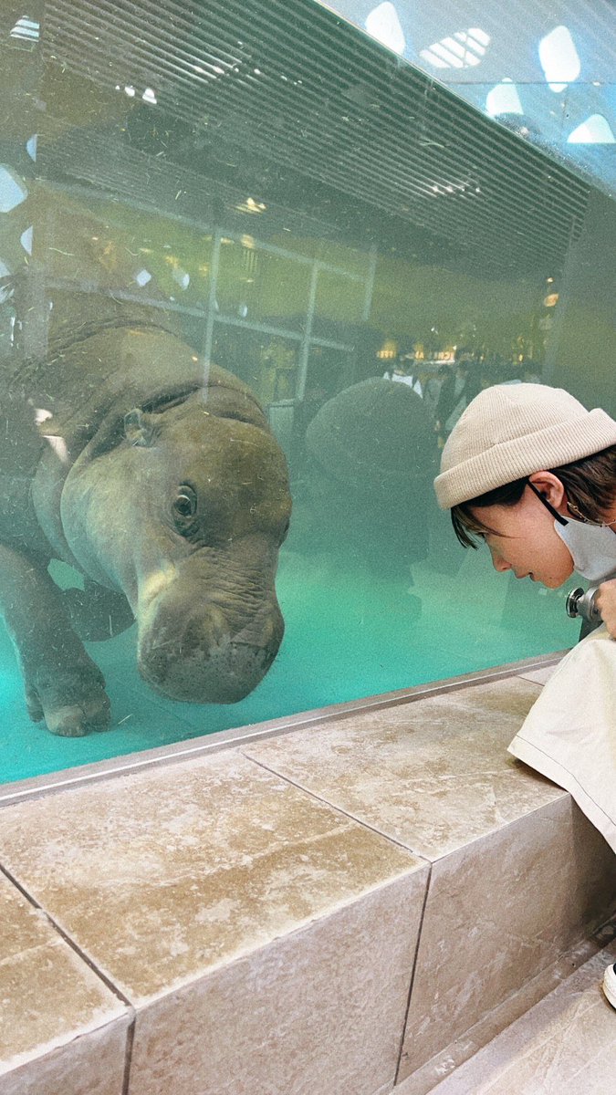 manatmnt's tweet photo. ミニカバと愛を育みたい🦛 https://t.co/RbdP5XrPvR