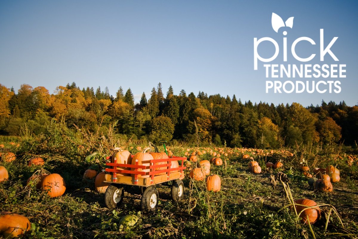 tnhomeandfarm's tweet photo. Use the @PickTnProducts directories to plan the perfect outdoor adventure and make new family memories this fall. 🎃
https://t.co/G4mCeXFGRD https://t.co/s5IHNAYibQ