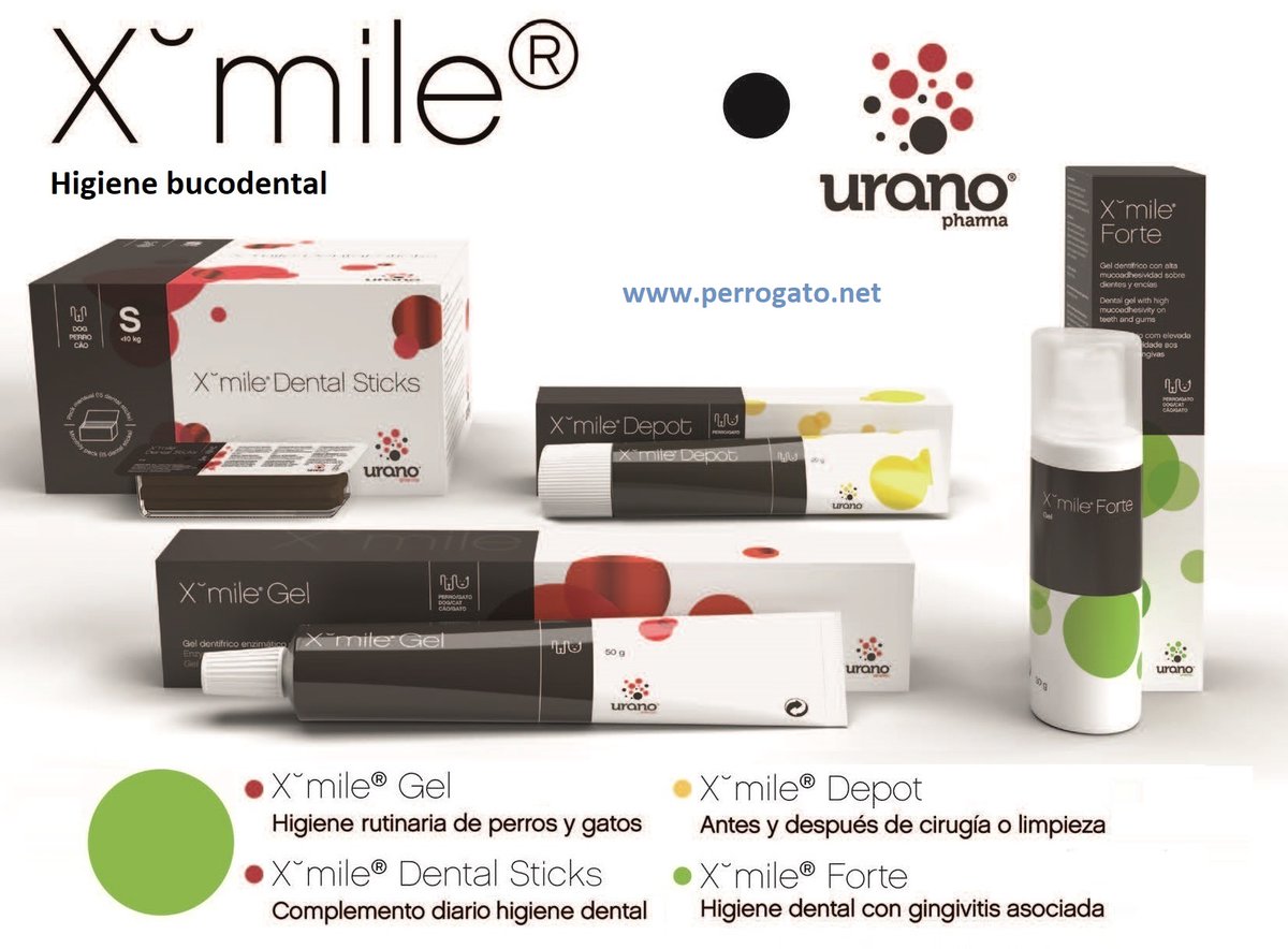 perrogato_net's tweet photo. Higiene Bucodental
https://t.co/3VsIHTtrj2 https://t.co/nMqtZGLjRN