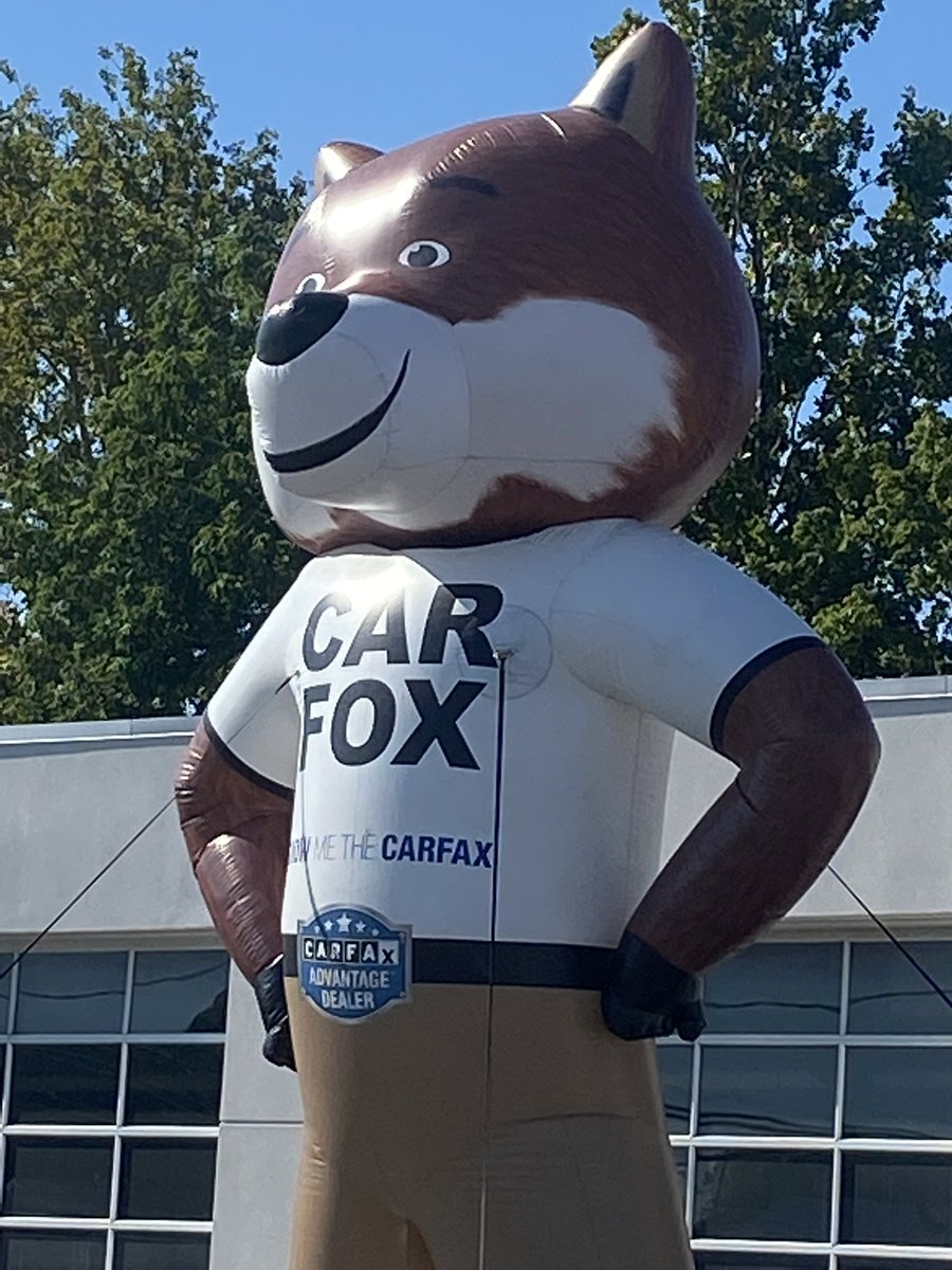 AutoOneLanc's tweet photo. It takes a lot of work setting up for a BIG event like this one! Don't miss out! Join us today, Friday &amp; Saturday to upgrade your ride! Click the link to learn more about the tent sale 🎪➡️ https://t.co/vffeW2Y1HF

See you there! 👋 https://t.co/ljX5aKheuT