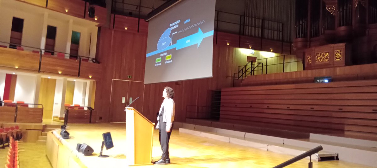 GraingerLab's tweet photo. #molmicro2022 next speaker @emilywarmanj telling us about her discovery of widespread bidirectional promoters in prokaryotes https://t.co/IYfzrUBLnf
