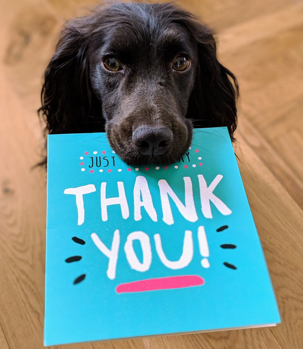 bethanybachurch's tweet photo. Will you help us show appreciation to our Pastors? - https://t.co/IFxnUFeFdY https://t.co/7sq1HlCe8d