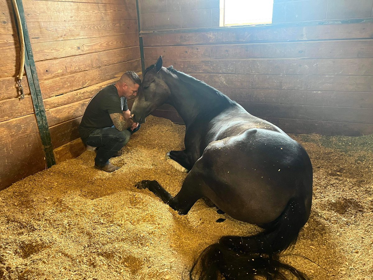 Show your horse some extra love today ❤️🐎❤️

📸: Family Stone Racing