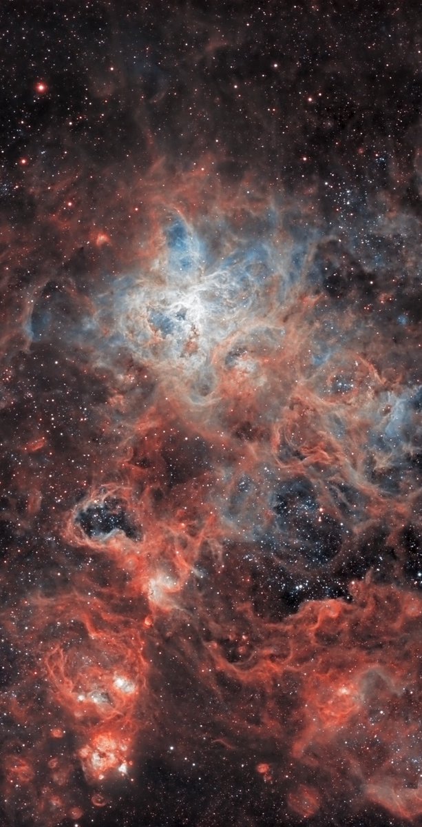 maiz_julio's tweet photo. 📷 The Tarantula Nebula Credit: Slawomir/AstroBin https://t.co/CsamZIzZsz https://t.co/vNQYLCPaa6