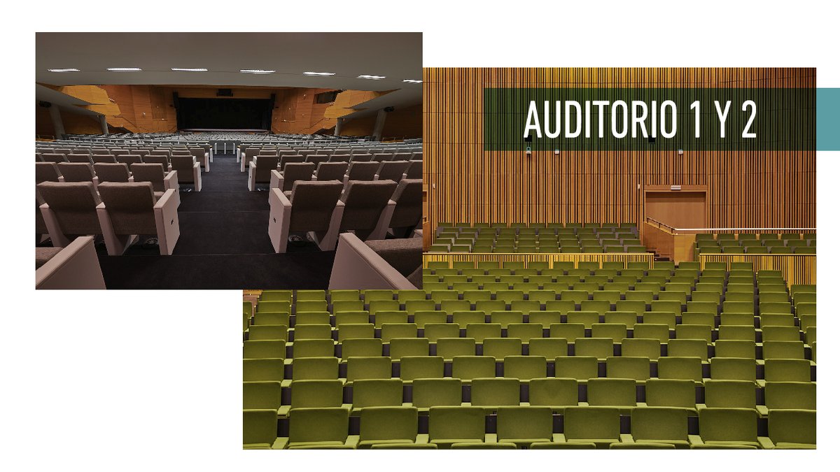 PalcongresVLC's tweet photo. ¡Nuestros Auditorios 1 y 2 ya están listos y con las butacas renovadas💺! Nuestro objetivo es mejorar bajo los pilares de innovación💡, tecnología👩💻 y sostenibilidad♻️. Siempre #ImprovingForTomorrow para vivir nuevas experiencias https://t.co/U4uOdb5R8T