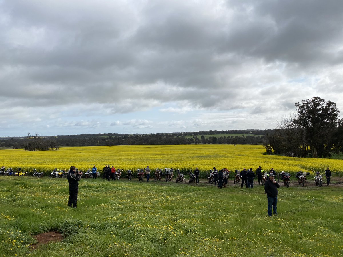 BevanAddison's tweet image. Well it’s all done and dusted for another 2 wheel trial tour. Great 3 days despite a wet day 1. Interstate visitors and all areas of WA seeing high rainfall zone cropping systems and. Swinging down to MANJIMUP gif something a bit different