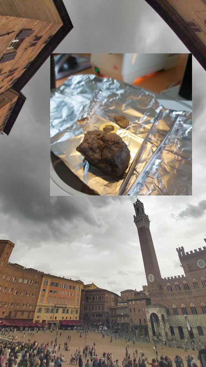Today I came to collect a CO3 carbonaceous chondrite with professor <a href="/luigi_folco/">luigi</a> at the Museo Nazione dell'Antartide Sezione Siena, I'll be working on this meteorite in the next few months. It is amazing how a work trip in such an amazing city can become so easily a pleasure trip