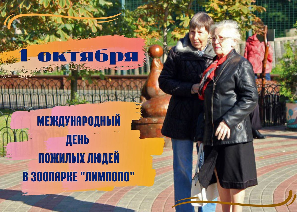 NIA_NN's tweet photo. Нижегородский зоопарк "Лимпопо" 1 октября проведёт традиционную акцию, приуроченную к Международному дню пожилых людей. В рамках акции "Нам года – не беда!" нижегородцы старшего возраста смогут посетить "Лимпопо" бесплатно: на входе им нужно будет всего… https://t.co/KRvdyXsbeb https://t.co/im06566Z61