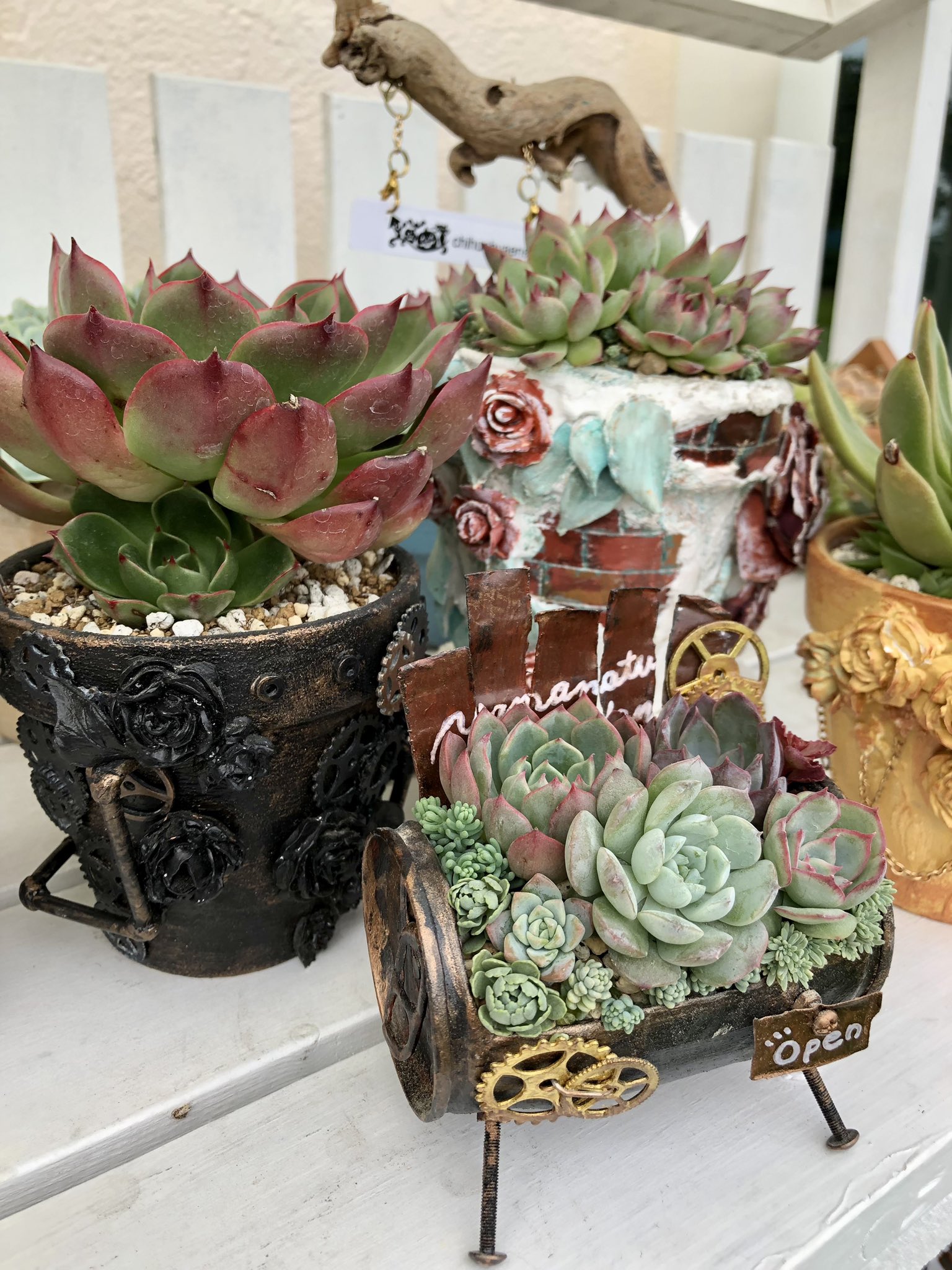 ★多肉植物　寄せ植え〜手作り木製プランター　ビーチ寄せ〜★ ☆多肉植物寄せ植え〜手作り木製プランタービーチ寄せ〜☆