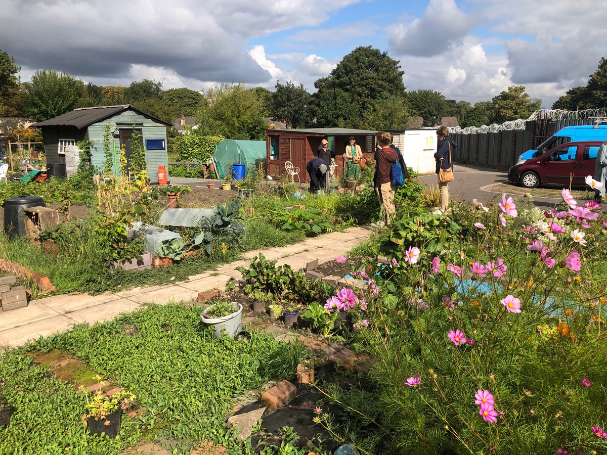 Food Trails tweet media