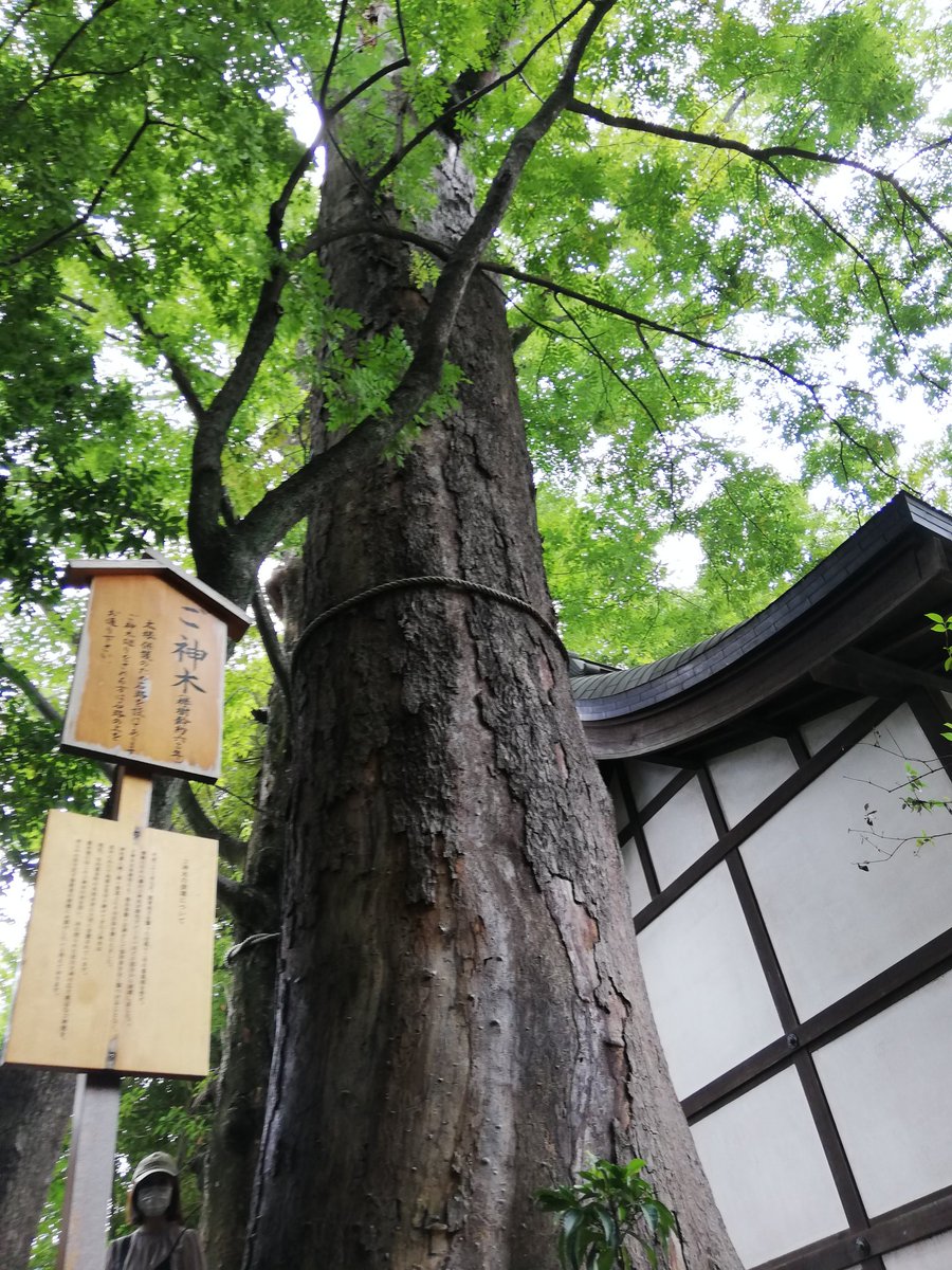 namedangochan's tweet photo. 今日で入籍して10年経ちました。子供が学校行ってる間だけ二人で。また10年後を同じ気持ちで迎えましょう。 https://t.co/KvJsMilXoO
