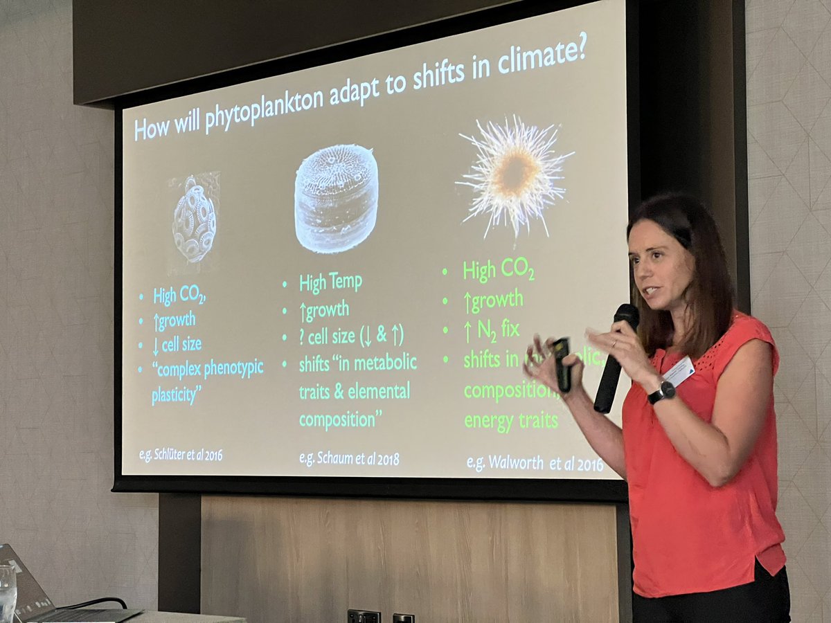 Dr. Pearse J Buchanan (@pearsejbuchanan) on Twitter photo Had such a good time seeing colleagues at the “marine microbes in a changing climate” <a href="/royalsociety/">The Royal Society</a> conference.
My first in person conference since ocean sciences in San Diego 2020!
Pictured is Naomi Levine explaining some cool stuff Had such a good time seeing colleagues at the “marine microbes in a changing climate” <a href="/royalsociety/">The Royal Society</a> conference.
My first in person conference since ocean sciences in San Diego 2020!
Pictured is Naomi Levine explaining some cool stuff