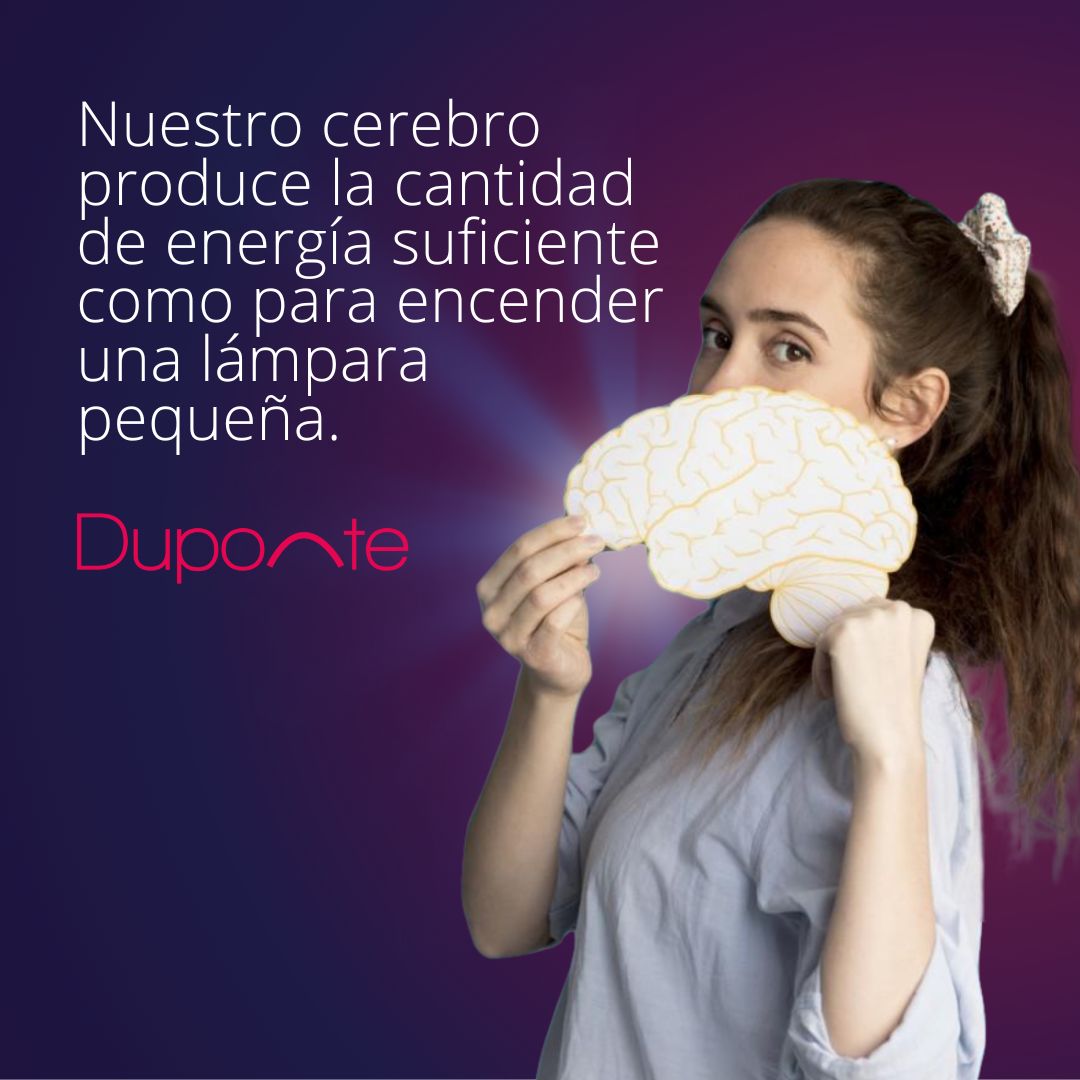¡Nuestro cerebro es brillante! Literalmente. duponteadn.com

#ciencia #cerebro #energia