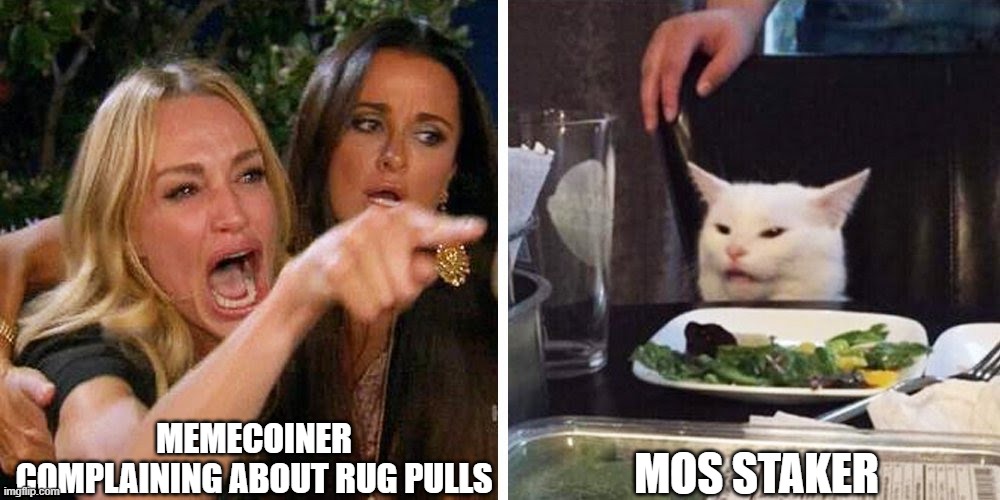 themos_memes's tweet photo. MOS Staking will allow you to earn big rewards! 
Find out more at: https://t.co/TviITlsKuR  #MOS #themos #DeFi #staking #cryptocurrency #finance #memes https://t.co/mEJgoyuPvv