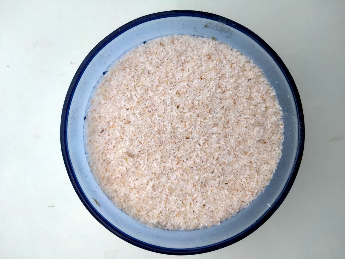 plus_herbs's tweet photo. We Have Wide Range Of Psyllium Husk...
#psyllium #psylliumhuks #isabgol https://t.co/sZ8AMAM6HC