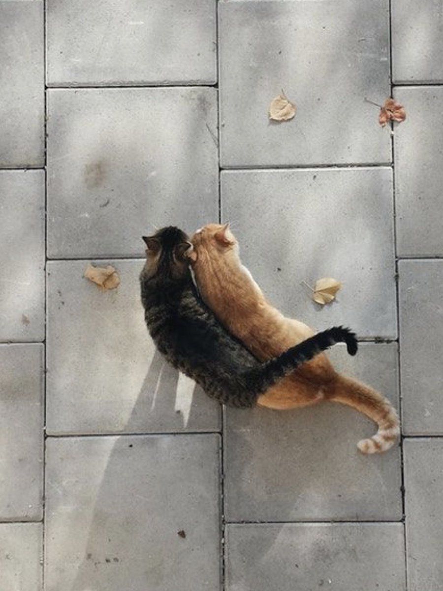 autumn adventures 🍁