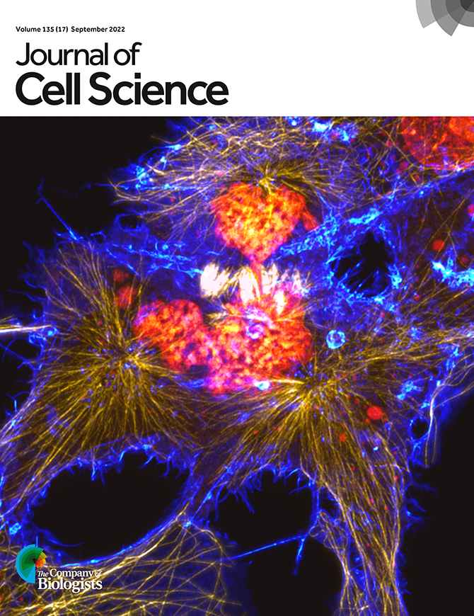 J_Cell_Sci's tweet photo. Our latest Issue is now complete! Check out the full Table of contents here: https://t.co/jMrJuKW7UB

On the cover is the winning image of the ELMI-FocalPlane @focalplane_jcs image contest, taken by Ciarán Butler-Hallissey @ButlerHallissey and titled 'Electric Love'. https://t.co/Cunz19XAeC