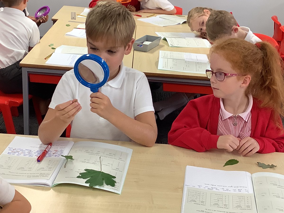 StPhilipsY4A's tweet photo. This week in Science, we have enjoyed looking at leaves in close detail, using a microscope and a magnifying glass. We became great scientists and logged our observations through accurate drawings. @StPhilipCEAP #teamstphilips #StPhilipsScienceY3 https://t.co/DZwIbO6KFP