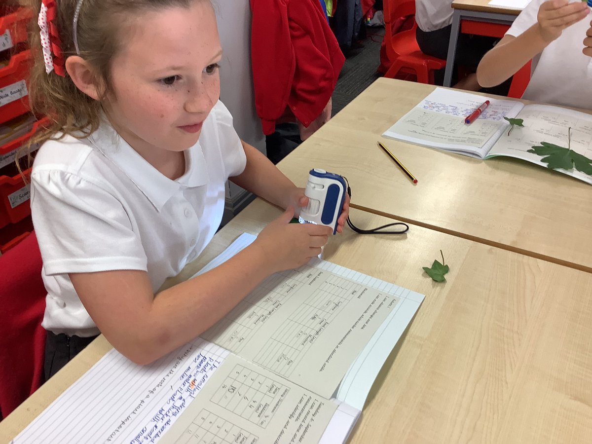 StPhilipsY4A's tweet photo. This week in Science, we have enjoyed looking at leaves in close detail, using a microscope and a magnifying glass. We became great scientists and logged our observations through accurate drawings. @StPhilipCEAP #teamstphilips #StPhilipsScienceY3 https://t.co/DZwIbO6KFP