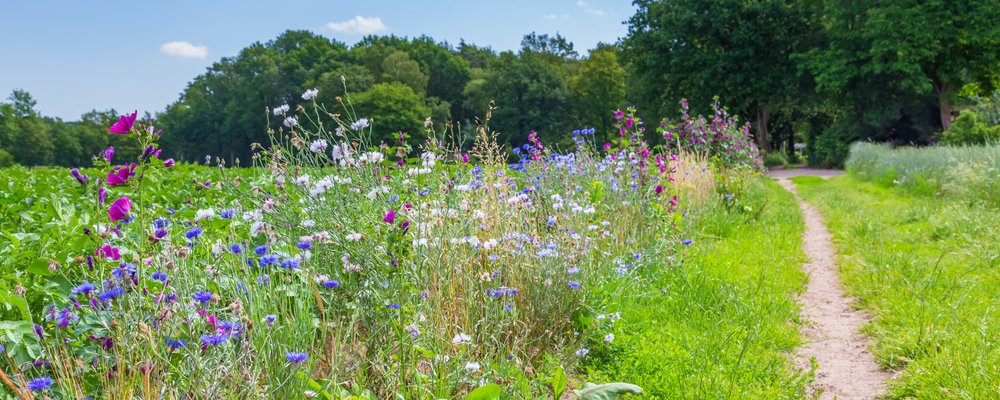 Environmentjob.co.uk (@environmentjob) on Twitter photo Passionate about sustainable farming? Have good communication skills? Ready for a hands-on role?
<a href="/stratton_co/">J M Stratton & Co</a> are hiring a Farm Environmental Co-ordinator to help with conservation projects across their farm estate.
See here: bit.ly/3eS6C3q
#SustainableAgriculture Passionate about sustainable farming? Have good communication skills? Ready for a hands-on role?
<a href="/stratton_co/">J M Stratton & Co</a> are hiring a Farm Environmental Co-ordinator to help with conservation projects across their farm estate.
See here: bit.ly/3eS6C3q
#SustainableAgriculture