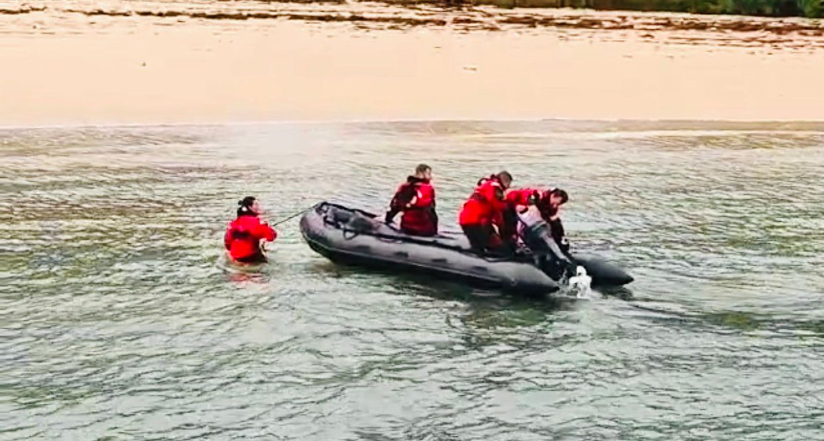 Antartica_ET's tweet image. La XXXVI @Antartica_ET del @EjercitoTierra realiza prácticas de navegación en O’Grove para prestar apoyo en las misiones científicas en la Antártida de:
🛟“hombre al agua”
🚤“entrada y desembarco con traje VIKING” y
🛶“desplazamiento con remo”. 

🪖👨🏻‍🔬👩🏼‍🔬🇦🇶