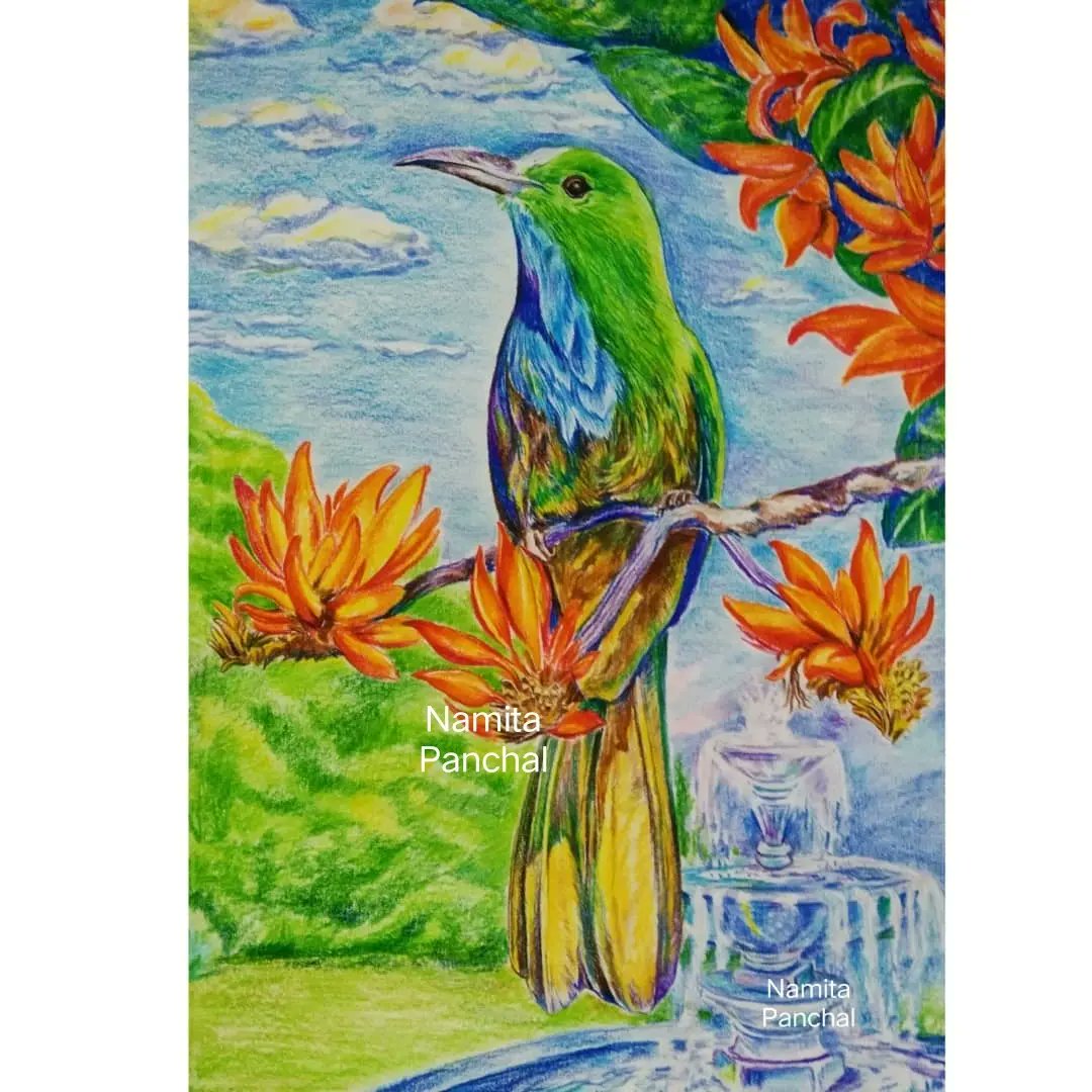 Namitayp's tweet photo. y pencil colour painting of "A bee-eater" bird.
Explore various colour pencil sets available on @diyvinci online #art and #craft shopping site.
#diyvinci
#art #colourpencil #Artwork #artistoninstagram #bird #beeeater #meropidae #landscape #paintingoftheday #artlife #america https://t.co/vEvqDxdcWw