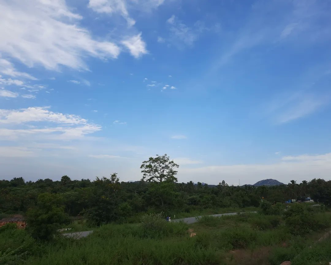 chauchaubhath's tweet photo. And the skies have definitively changed season.
#windowseatproject #railway #window https://t.co/00P1uXpozW