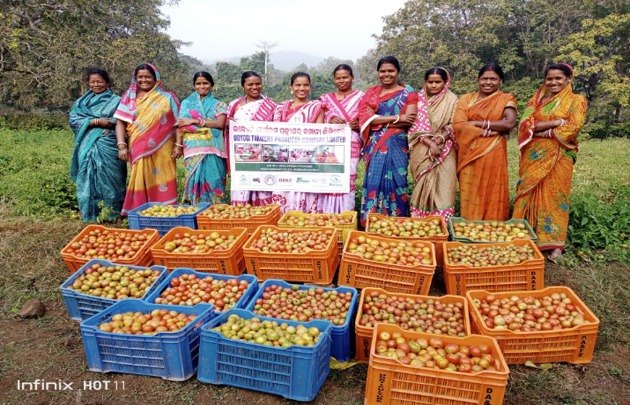 Dist_Kendujhar's tweet photo. #doubliingfarmersincome
ମହିଳାଚାଷୀଙ୍କ ଆୟ  ଦୁଇଗୁଣିତ କରିବା ଲକ୍ଷରେ #କେନ୍ଦୁଝର ଜିଲ୍ଲାର #DMF ସହାୟତାରେ ଏପିସି ପ୍ରକଳ୍ପ ଦ୍ୱାରା ଆର୍ଥିକ ବର୍ଷ   ୨୦୨୨-୨୩(2022-23) ରେ  ବର୍ତ୍ତମାନ ସୁଦ୍ଧା, ପାଖାପାଖି  ୯୧୩୪. ୫୪(9134.54) mt. ପନିପରିବା ଓ ଫଳ ବିକ୍ରି କରି  ୨୨୬.୮୨(226.82)  ଲକ୍ଷ ଟଙ୍କା ରୋଜଗାର କରିଛନ୍ତି, 1/2 https://t.co/C146sBV37m