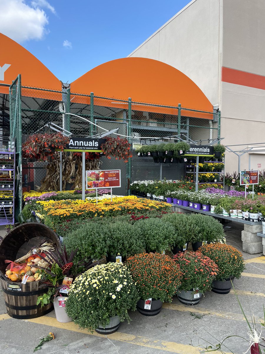 Amanda Fore tweet media