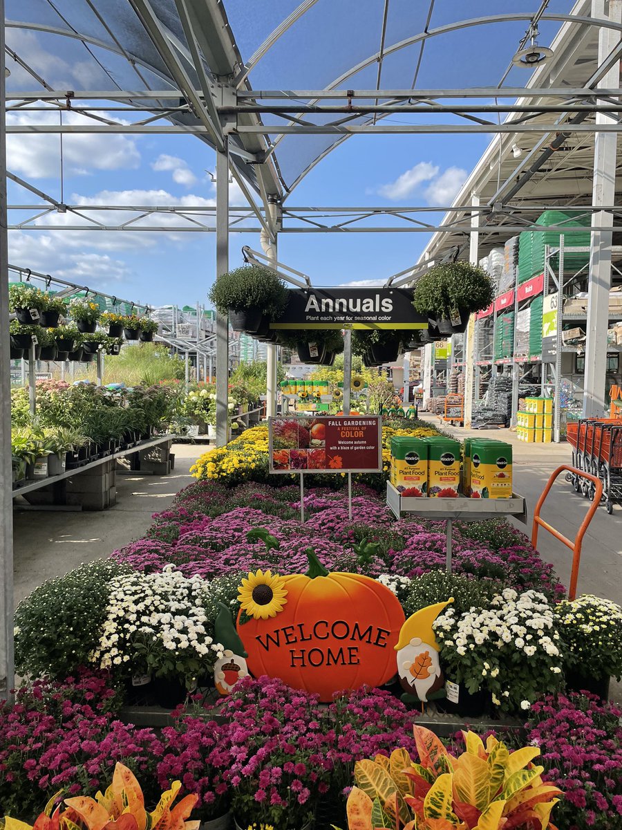 Amanda Fore tweet media